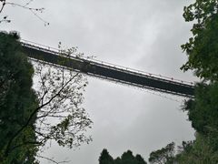 -娄山关景区