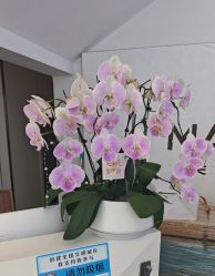 -美安心医美·美迪迈黄金微针·美拉美医疗美容