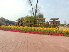 -铁山坪森林公园