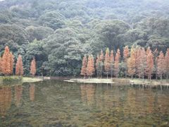 -广州市石门国家森林公园