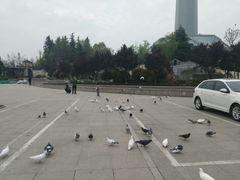 -陕西自然博物馆