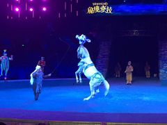 -珠海横琴长隆《卡卡虎奇遇记》