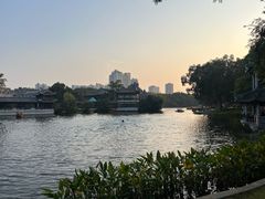 -荔湾湖公园