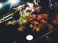 -路小缦·珍馐美馔(市心北路店)