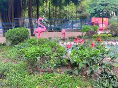 -九龙公园