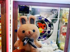 -PAWTOY爪e玩偶店(天兴罗斯福店)