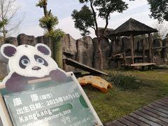 -上海野生动物园