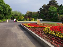 -长春市南湖公园