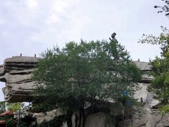 -百脉泉景区