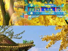 -什刹海