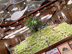 -新辣道鱼火锅(国瑞城店)