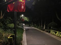 -青枫公园