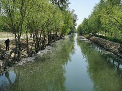 -马家湾湿地公园