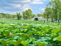 -长春市南湖公园