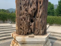 -北京植物园-展览温室