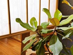 -和枫(众意路店)