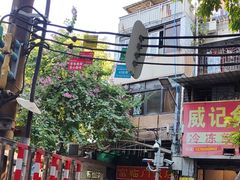 -广宁炭炉鸡煲·富临门饭店