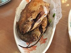 -洲晓鲜·舟山海鲜大排档(朱家尖风景区店)
