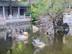 -国恩寺