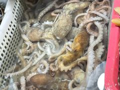 -王四营海鲜市场