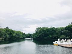 -井之头恩赐公园