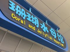 -上海海昌海洋公园