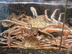 -海鲜e族(马王堆店)