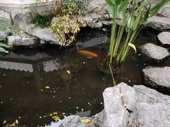 -南京市民俗博物馆(甘熙宅第)