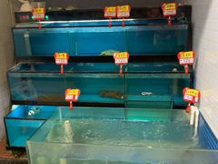 水产区-后宫私房菜(汇客美食娱乐广场店)