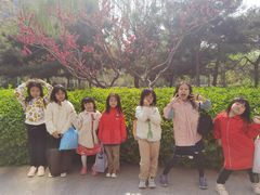 -第壹宝贝儿童教育中心(朝阳校区)