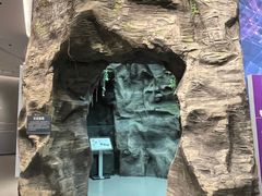 -陕西自然博物馆