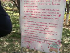 -西安青龙寺遗址景区