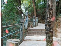 -黔灵山公园