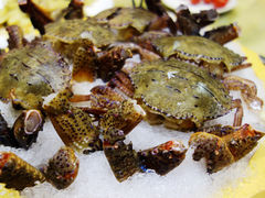 -渔傅·蓝海岸霞浦海鲜(正祥店)