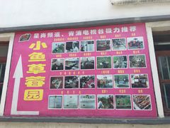 -小鱼草莓采摘园农家乐·小鱼餐厅