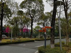 -深圳东部华侨城茵特拉根酒店
