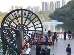 -重庆彩云湖湿地公园