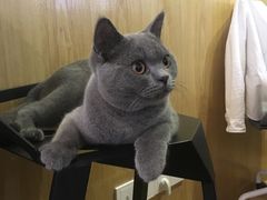 -壹人壹像工作室(购物公园店)