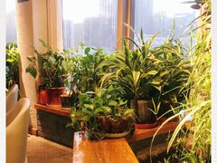 -有才叔的小馆(高新咖啡街区店)
