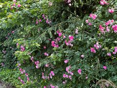 -重庆雨台山风景区