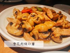 -波螺油子·海肠捞饭·青岛菜(银座店)