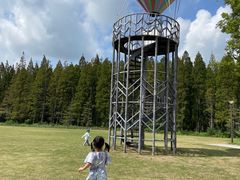 -黄海国家森林公园