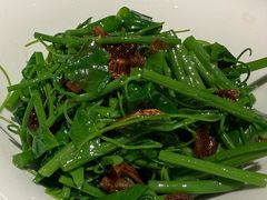 油鸡枞拌辣木苗-宴遇·福建荟馆(德基广场店)