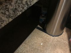 -上海波特曼丽思卡尔顿酒店