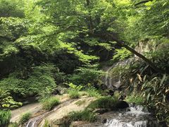 -藏龙百瀑风景区