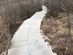-成吉思汗公园