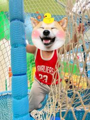 -莫莉幻想儿童乐园(武汉经开永旺店)