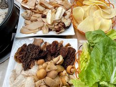 -蘑统田下·野生菌火锅