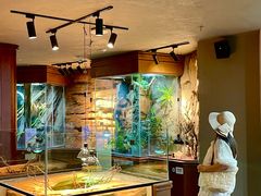 -帕帕拉兹宠物(亚洲旗舰店)