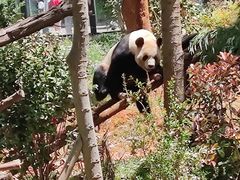 -云南野生动物园